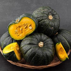 고당도 제주 미니밤호박 보우짱 단호박 못난이 랜덤과 5kg 맛보기 7/2일 출고