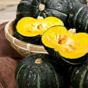 제주도 달콤한 보우짱 밤호박 단호박