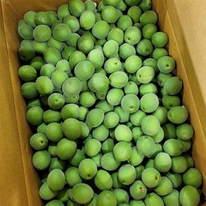 청매실 특 10kg