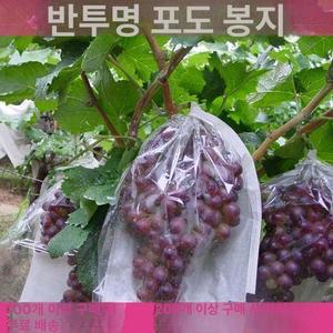 포도 봉지 샤인머스켓 반투명 해충 특수 비닐 포장