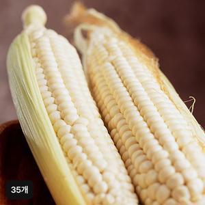 햇 미백찰옥수수 35개 (17cm 이상)