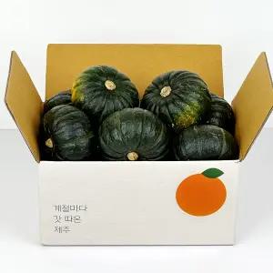 [내일도착] 깨비농원 제주 미니밤호박 3kg 로얄과 6-10과 / 개당 300-500g