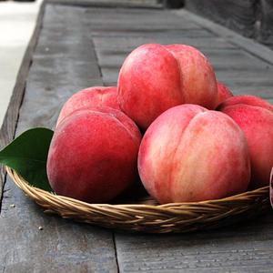 아삭달콤 딱딱이 복숭아 2kg/ 4kg 실중량