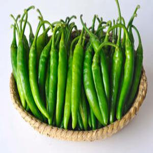 국내산 청양고추(특) 1kg (매운고추),시세적용(특)