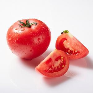 싱글탱글 경북산 햇 정품토마토 5kg