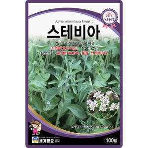 세계종묘 스테비아 씨앗 100립 스테비아씨 허브 종자