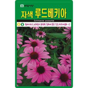 아람종묘 자색 루드베키아 씨앗 100립 자색 에키네시아 꽃씨 허브 종자