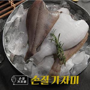 어부백서 한입 가자미 1kg
