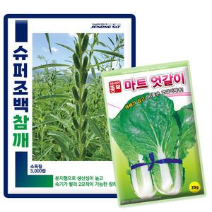 슈퍼조백 참깨 씨앗 3000립 농촌진흥청 추천 참깨 종자 + 엇갈이배추씨앗 1봉