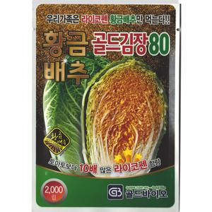 [모종심는아빠] 라이코펜 고함량 가을김장용 황금배추 골드김장80 종자2000립