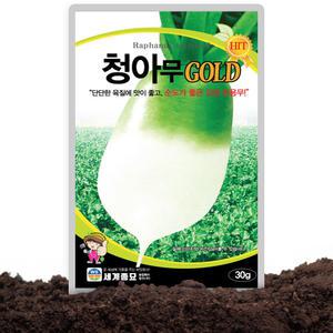 청아무골드 씨앗 30g 가을 저장용 김장무씨 종자 단단한 무 내병성무 무우씨