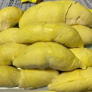 못난이 태국 몬통 생 통두리안 8kg내외 (3-6수)