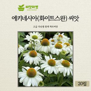 KS종묘 에키네시아 꽃 씨앗 20립 화이트스완 다년생 꽃씨 종자