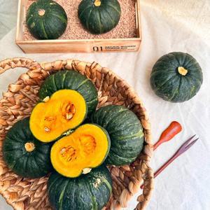 제주 산지직송 햇 미니 밤호박 단호박 특품 로얄 소과 10kg