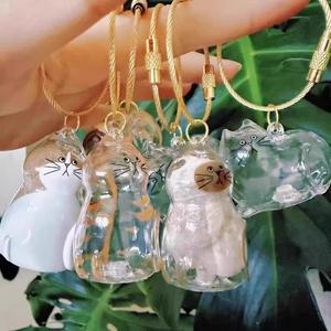 투명 고양이 털 보관함 펜던트 2025 행잉 추모 장식 DIY 애완동물 수집함 키체인