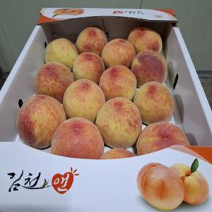 [프리미엄] 황도복숭아 김천 4KG (수황) 선물용 1번 특(16개)