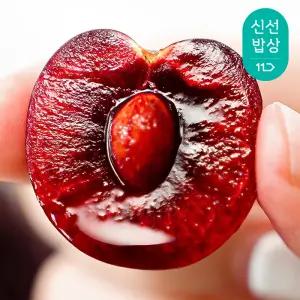[품질보장] 스윗탱글 워싱턴 빙 체리 900g 2.1kg 미국산