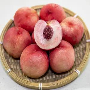 복숭아 천도 황도 백도 딱딱이복숭아 4kg (15-20과 내외)