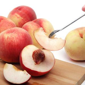 아삭아삭 딱복이 왔어요! 아삭단단한 복숭아 2kg /4kg