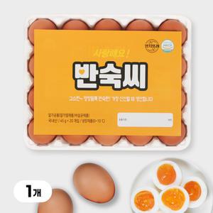 [YJ푸드] 반숙란 20구 / 노른자까지 맛있게 간이밴 반숙씨 영양간식 식사대용