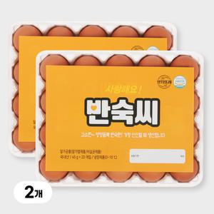 [YJ푸드] 반숙란 40구 / 노른자까지 맛있게 간이밴 반숙씨 영양간식 식사대용