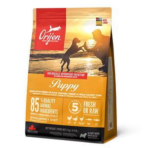 [간식증정] 오리젠 DOG 퍼피 2kg 어린강아지 애견사료