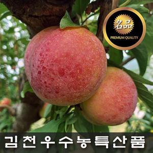 김천제철자두 후무사/도담/추희  2kg/3kg (베스트/왕특/특/대 ) 산지발송/첫출하