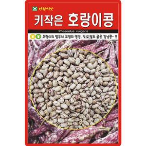 아람종묘 키작은 호랑이콩 씨앗 30g 비넝쿨 강낭콩씨 종자