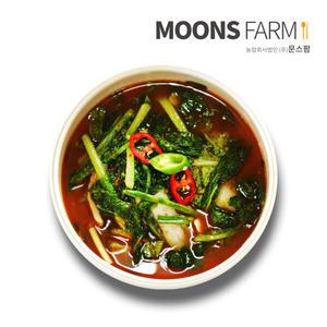 문스팜 국산 100% 전라도식 열무물김치 5kg