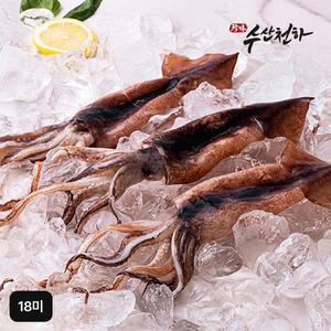 수산천하 국내산 손질 통오징어 18미