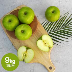 [더조은] 여름사과 썸머킹 사과 주스용 9kg 랜덤과