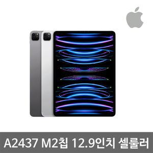 애플 아이패드 프로6세대 A2437 12.9인치 셀룰러 256G 애플케어O 중고