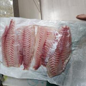 벤자리회 1kg / 횟감 필렛 / 미포함 (부산물 뼈&머리)