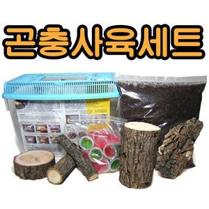 곤충사육세트//장수풍뎅이/사슴벌레/사육세트