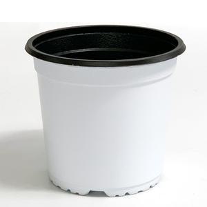 new 이색포트 150(흰색) 비닐포트 플라스틱화분 모종
