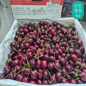 [품질보장]직수입 워싱턴 항공 체리 9.5R - 특대과 5kg(1박스)