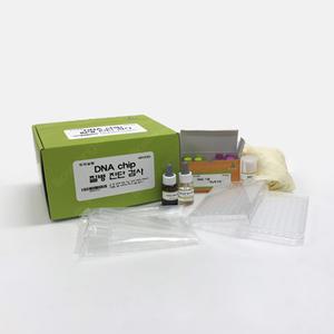 사이언스조아 DNA칩 질병진단검사/39924
