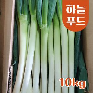 (10KG/Box) 수입 식자재 깐파 손질대파 신선대파 원산지:중국