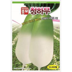 아시아종묘 씨앗 무 청하무 1만립