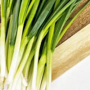깐쪽파 손질쪽파 실파 파김치 파전 500g
