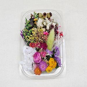 드라이플라워 소량 믹스