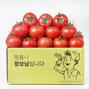[기타]토마토 완숙 찰토마토 5kg(5번/소과)