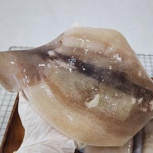 대왕 손질오징어 냉동 1kg