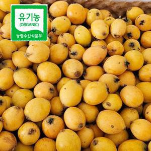 가마랑노지비파열매 친환경 유기농 완도비파 생과 5Kg(무선별 못난이)효소용 6월초 발송