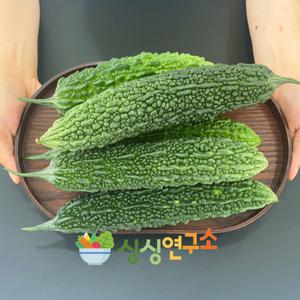 [싱싱연구소][새벽수확 특품] 경남거창 햇 여주 1kg 생여주