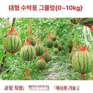애플수박망 빨간 수박 그물망 과일망 낙하 참외