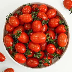 고당도 국내산 대추 방울토마토 로얄과 5kg