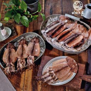 [바다온] 구룡포 반건조 오징어 50~60g x 24마리(원양산)