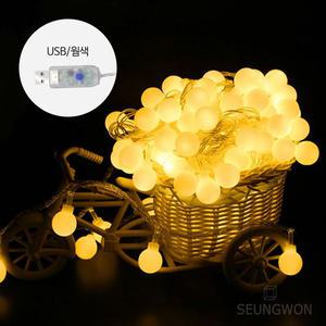 USB 전용 LED 앵두전구 (웜색) 6M 가랜드 조명 파티용 감성줄전구