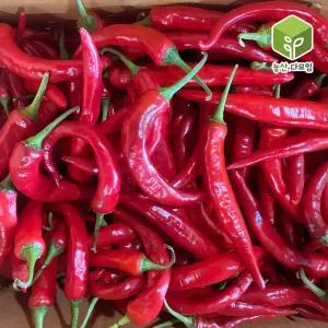 국내산 홍고추 5kg